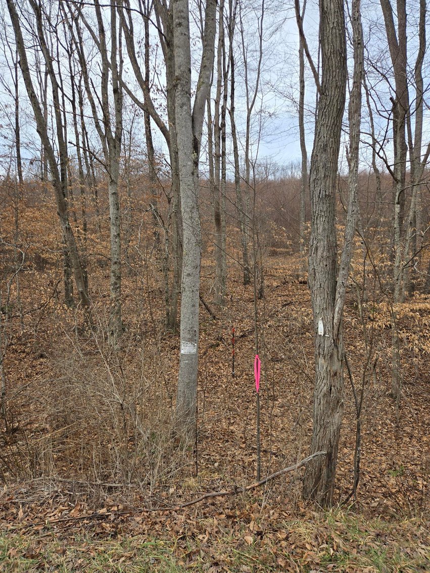 Image for SOLD $44,000 - 5 Surveyed Acres in Fayette County