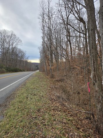 Image for SOLD $44,000 - 5 Surveyed Acres in Fayette County