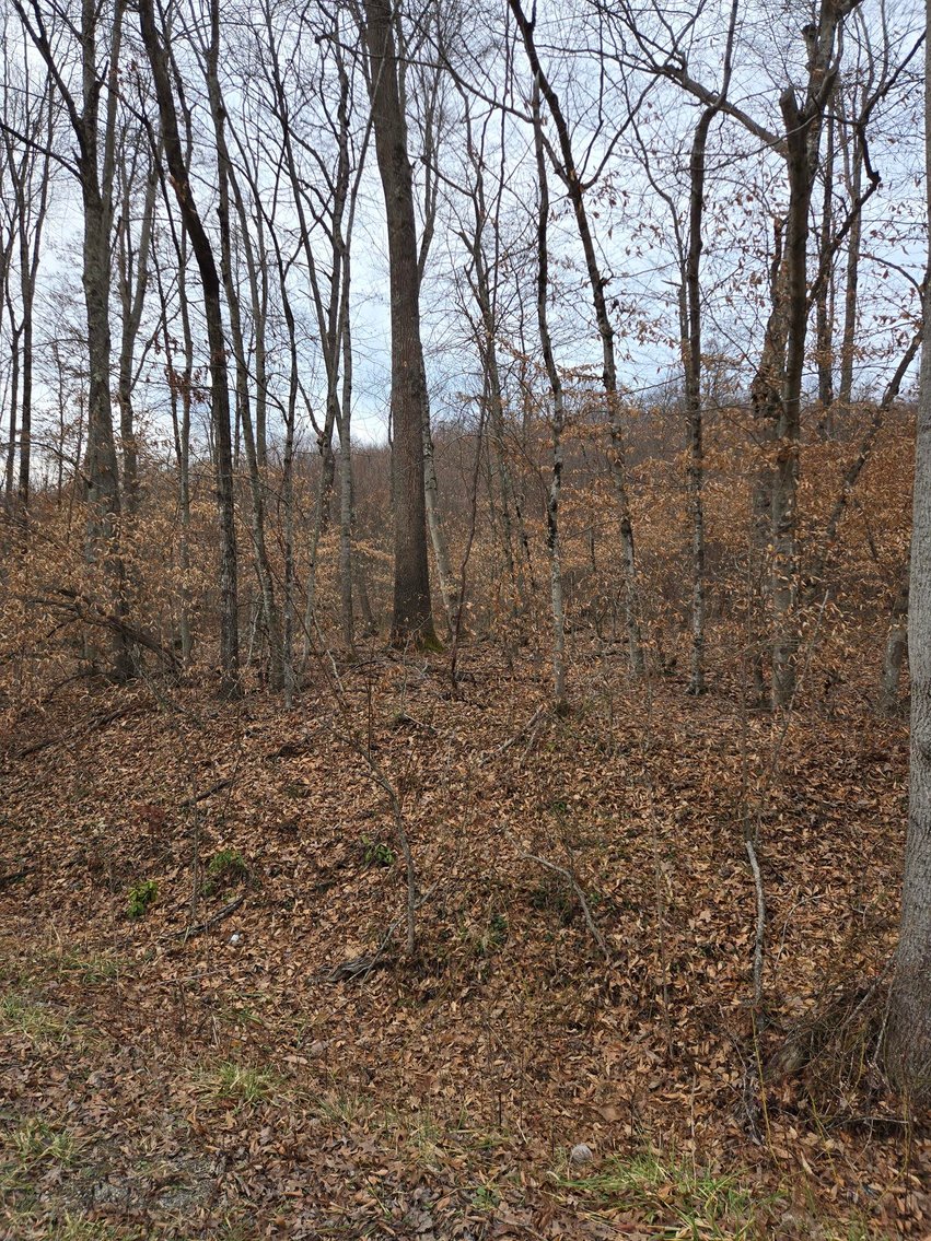 Image for SOLD $44,000 - 5 Surveyed Acres in Fayette County