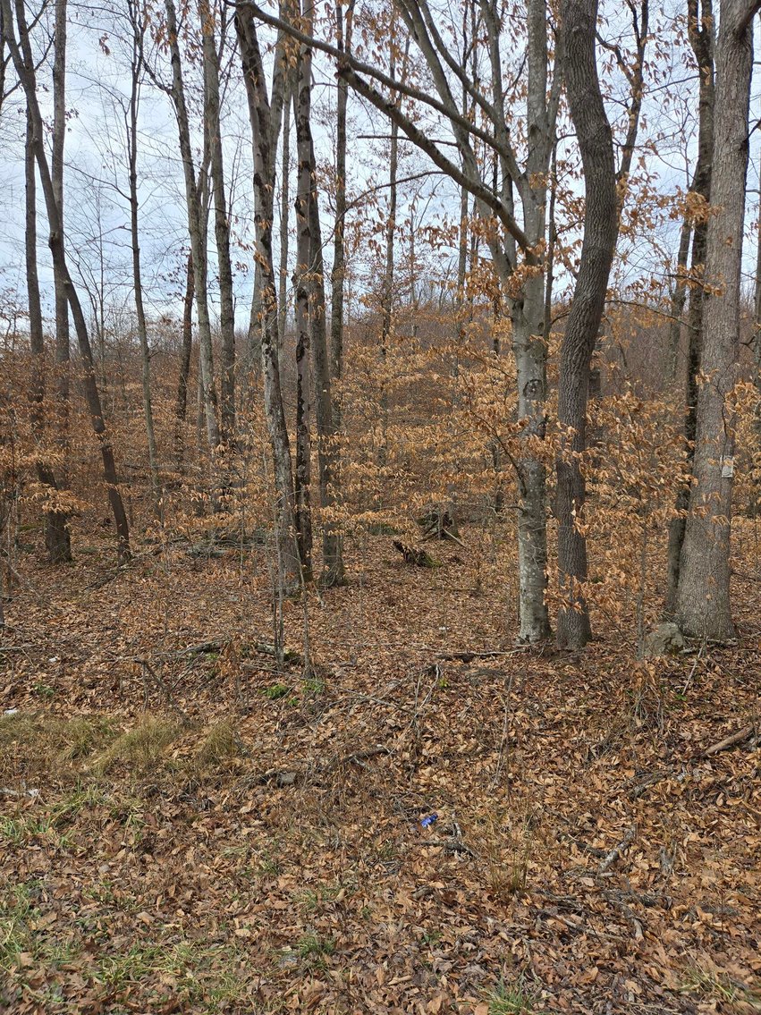 Image for SOLD $44,000 - 5 Surveyed Acres in Fayette County