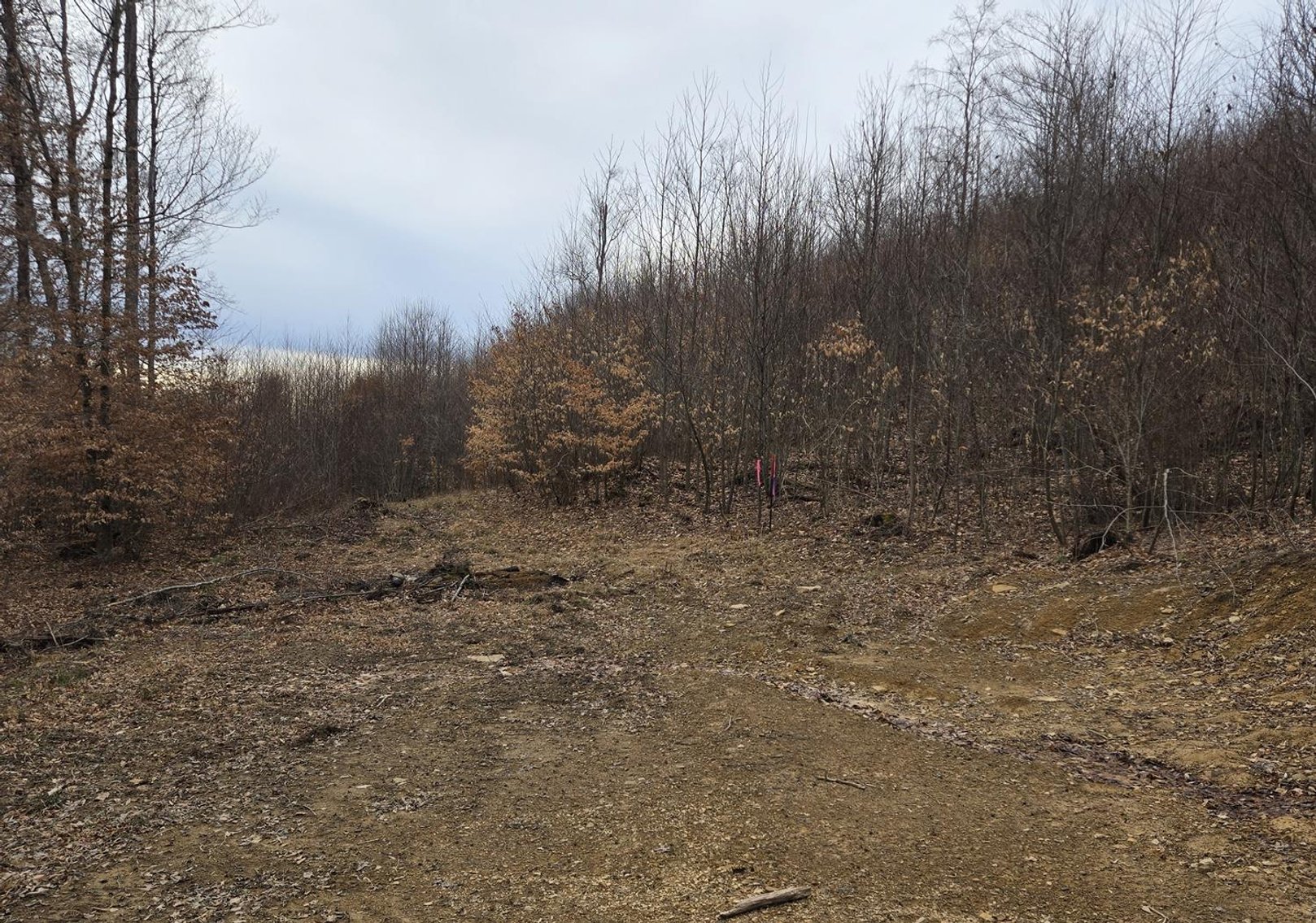 Image for SOLD $44,000 - 5 Surveyed Acres in Fayette County