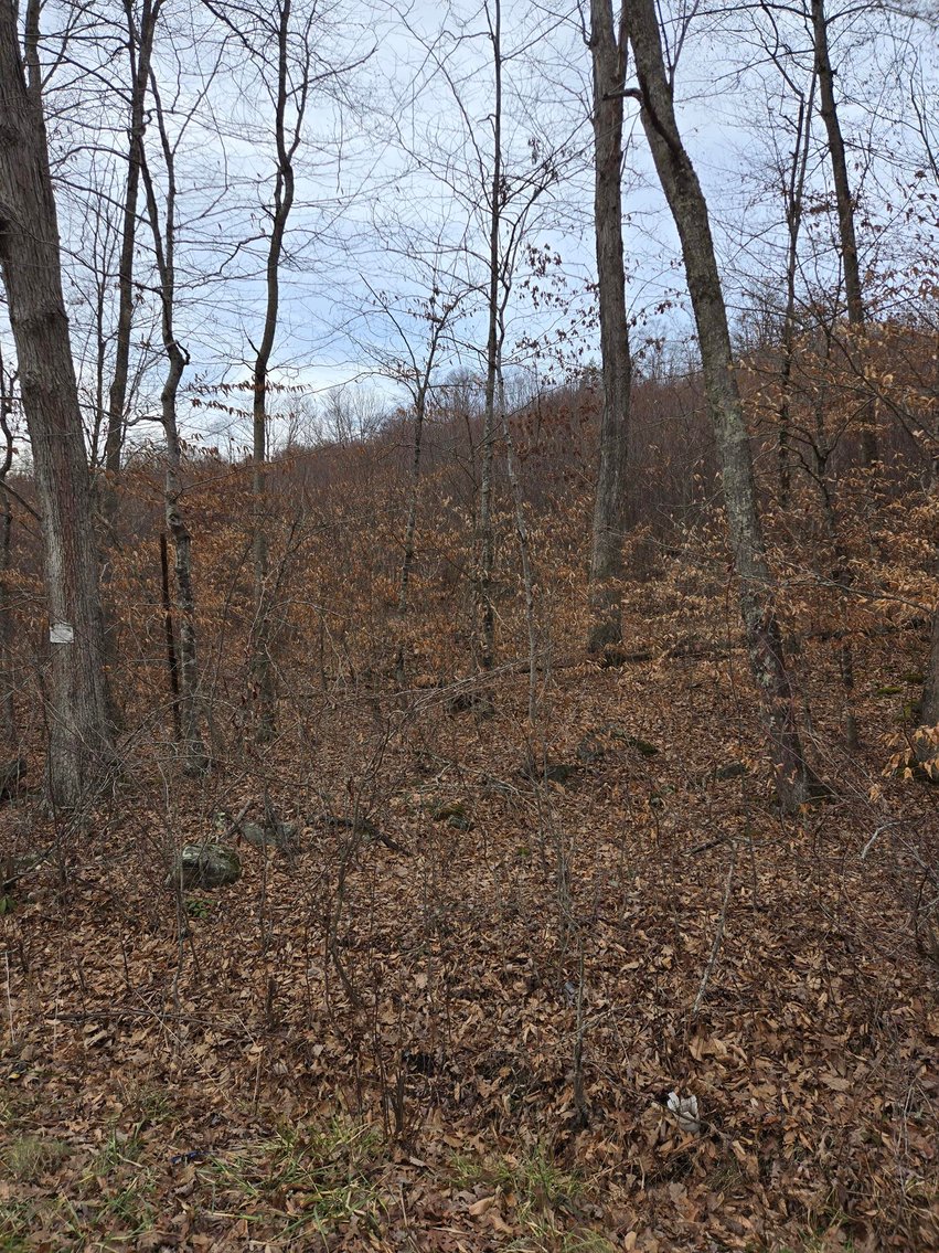 Image for SOLD $44,000 - 5 Surveyed Acres in Fayette County