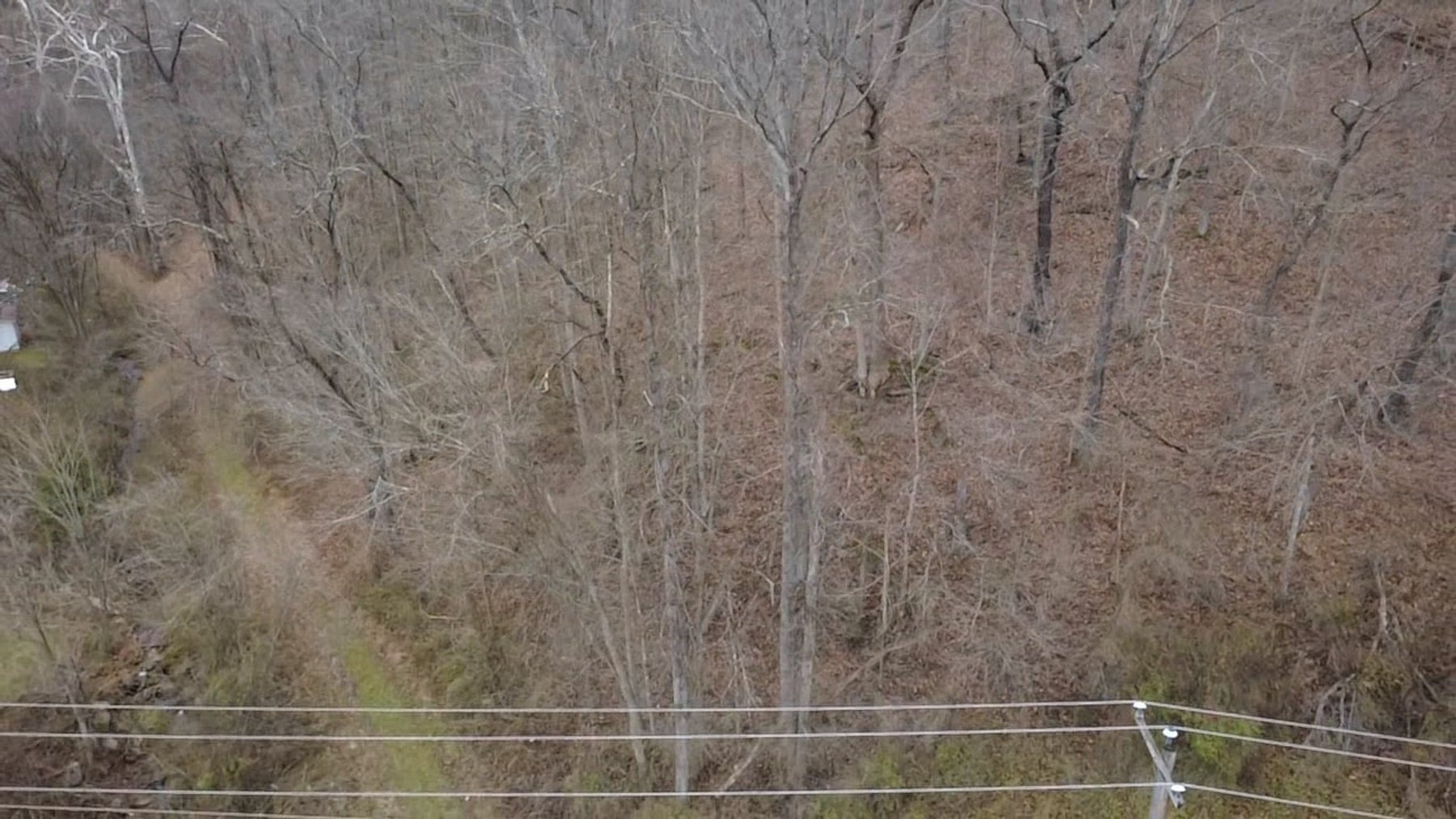 Image for SOLD $126,500 - 132 Surveyed Acres in Boone County Selling to the Highest Bidder