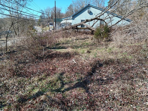 Image for SOLD - 13 Tracts in 7 Counties Selling to the Highest Bidders