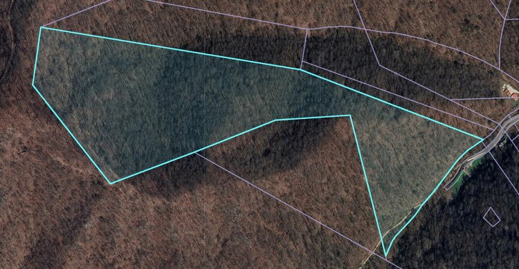 Image for SOLD - 5 Land Tracts in Mingo County Selling to the Highest Bidder