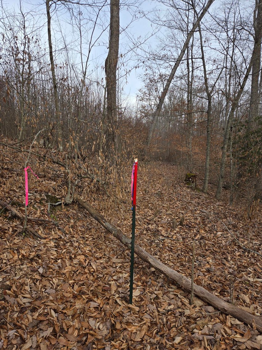 Image for SOLD $58,300 - 5 Surveyed Acres in Fayette County