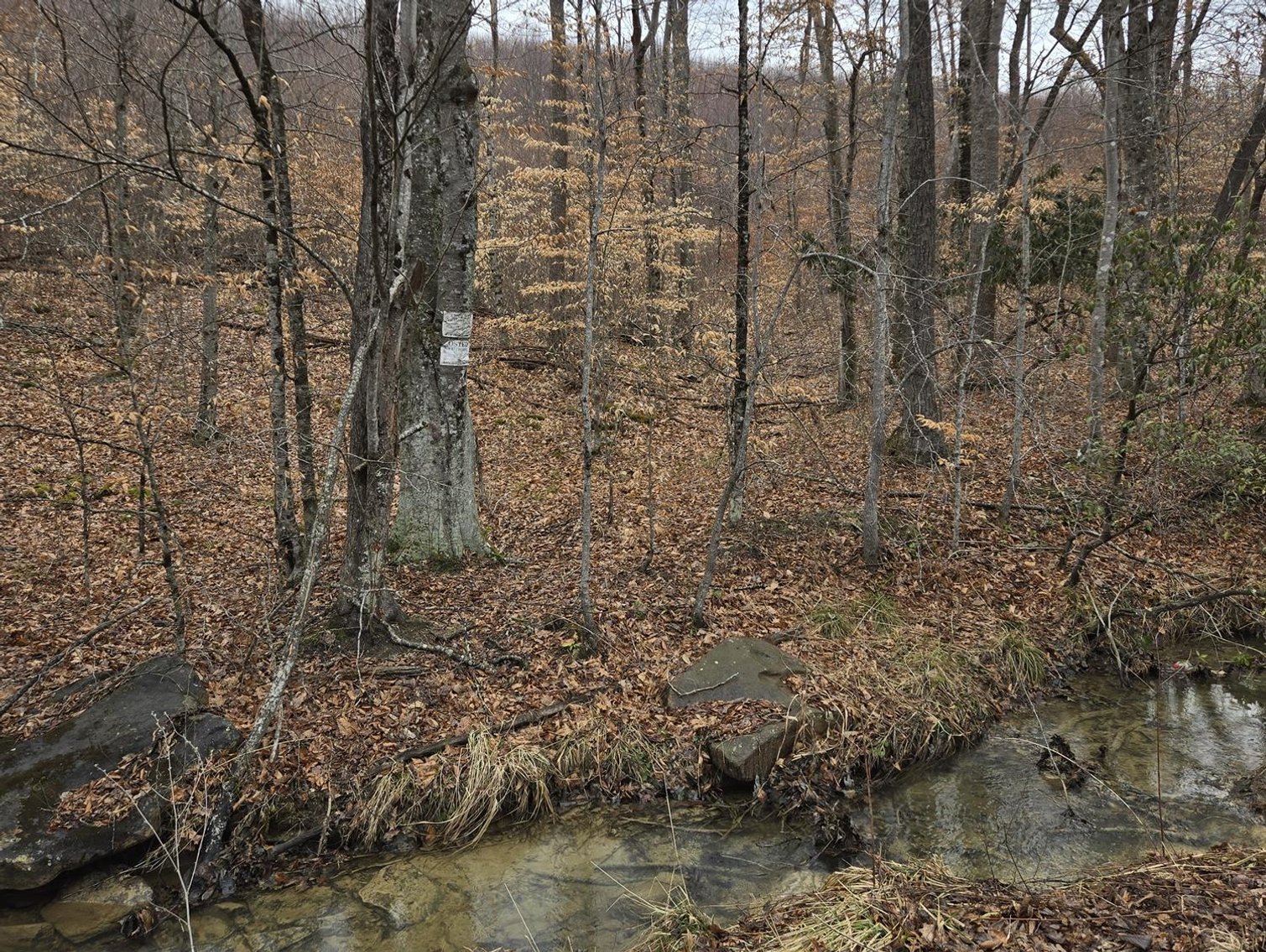 Image for SOLD $58,300 - 5 Surveyed Acres in Fayette County