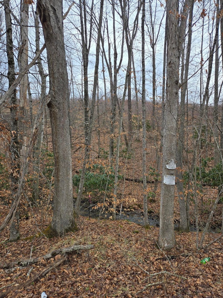 Image for SOLD $58,300 - 5 Surveyed Acres in Fayette County