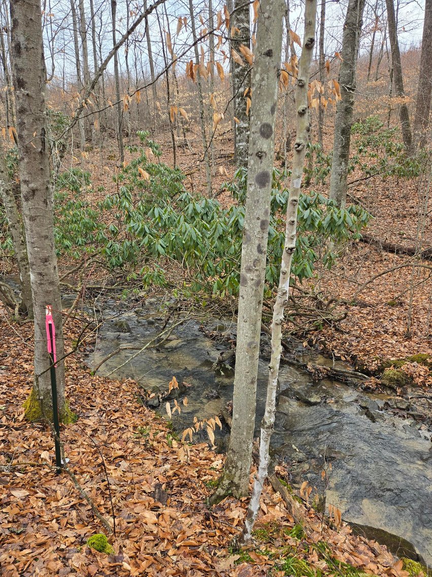 Image for SOLD $58,300 - 5 Surveyed Acres in Fayette County