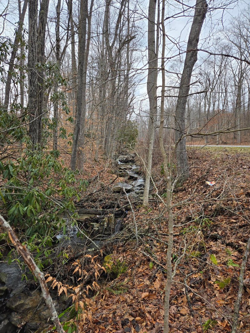 Image for SOLD $58,300 - 5 Surveyed Acres in Fayette County