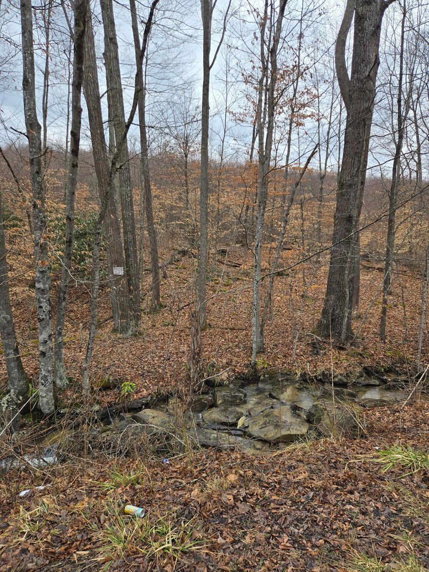 Image for SOLD $58,300 - 5 Surveyed Acres in Fayette County