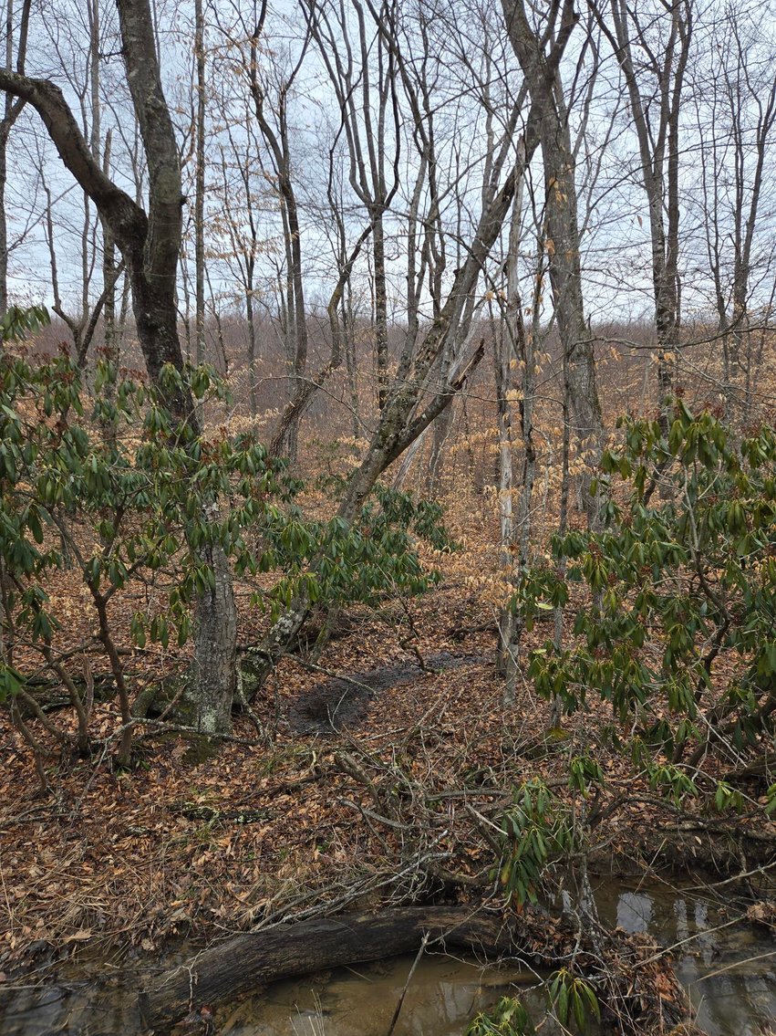 Image for SOLD $58,300 - 5 Surveyed Acres in Fayette County