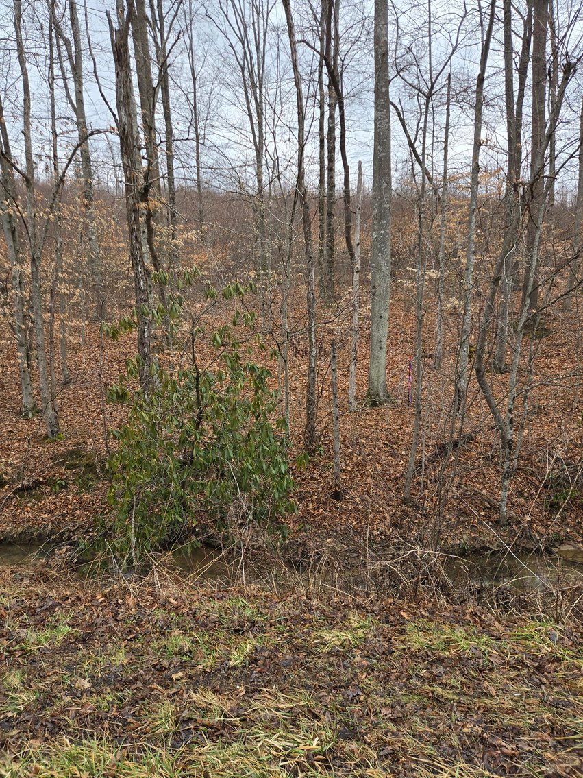 Image for SOLD $58,300 - 5 Surveyed Acres in Fayette County