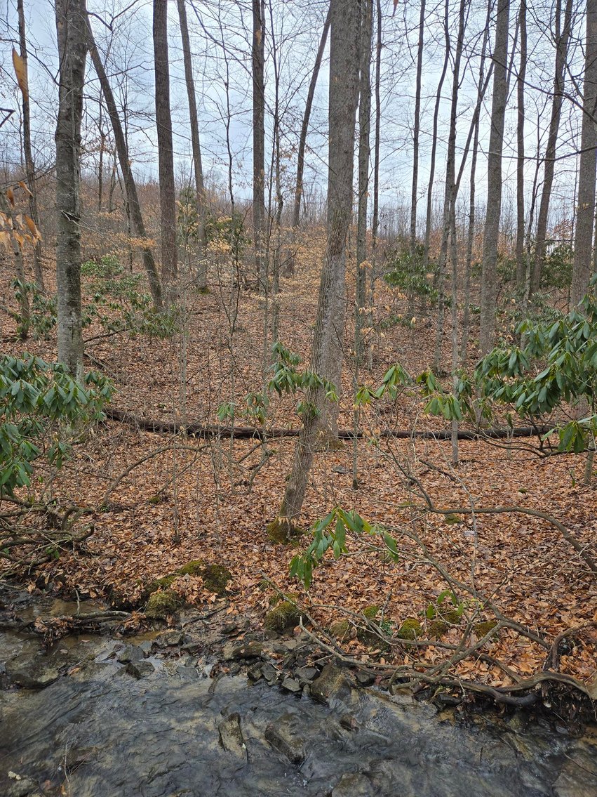 Image for SOLD $58,300 - 5 Surveyed Acres in Fayette County