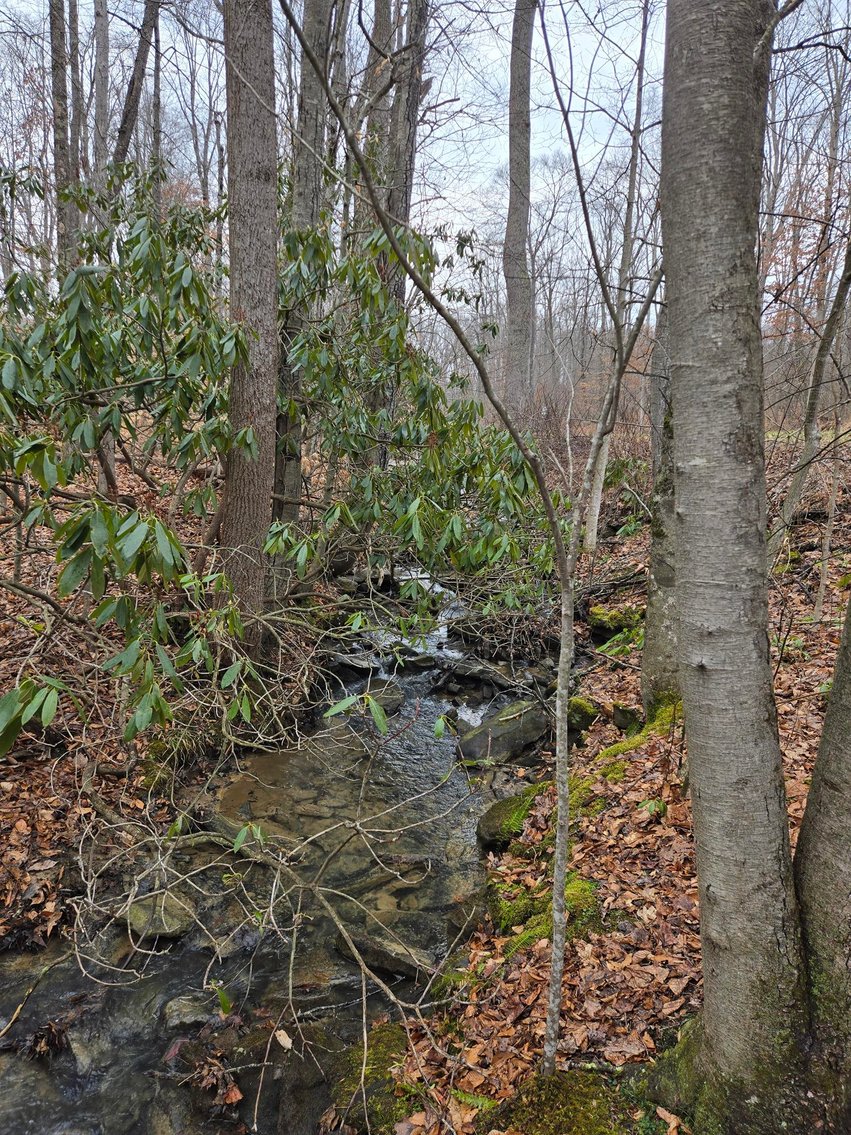 Image for SOLD $58,300 - 5 Surveyed Acres in Fayette County