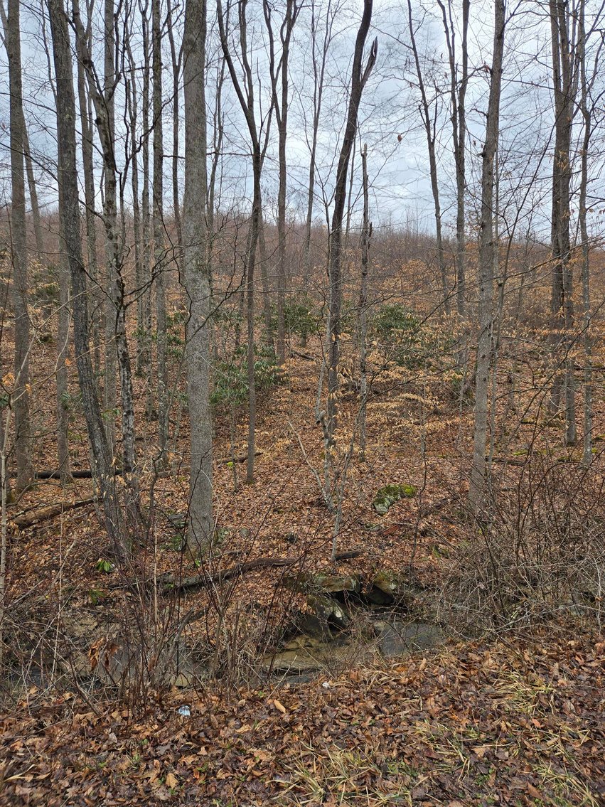 Image for SOLD $58,300 - 5 Surveyed Acres in Fayette County