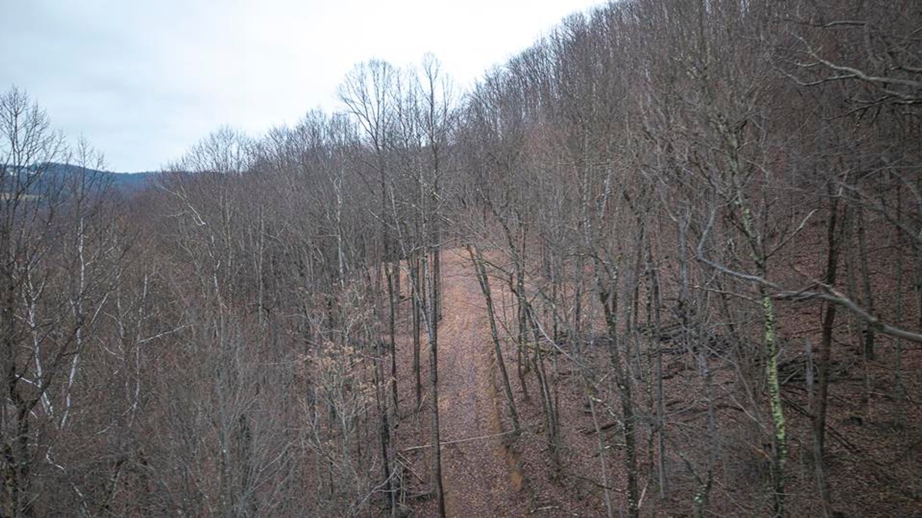 Image for 9 ½ Acres off Grafton Road in Morgantown