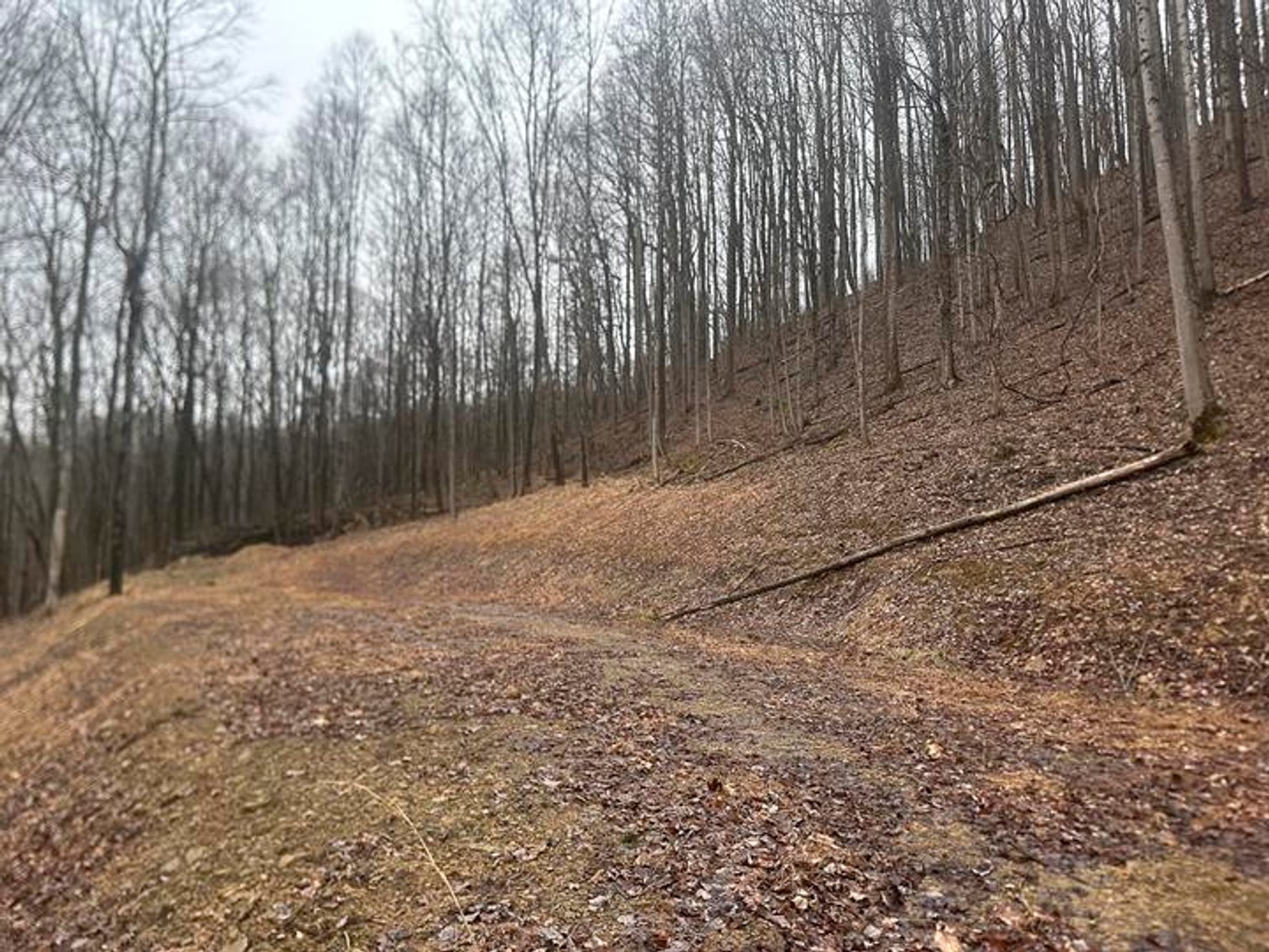 Image for 9 ½ Acres off Grafton Road in Morgantown