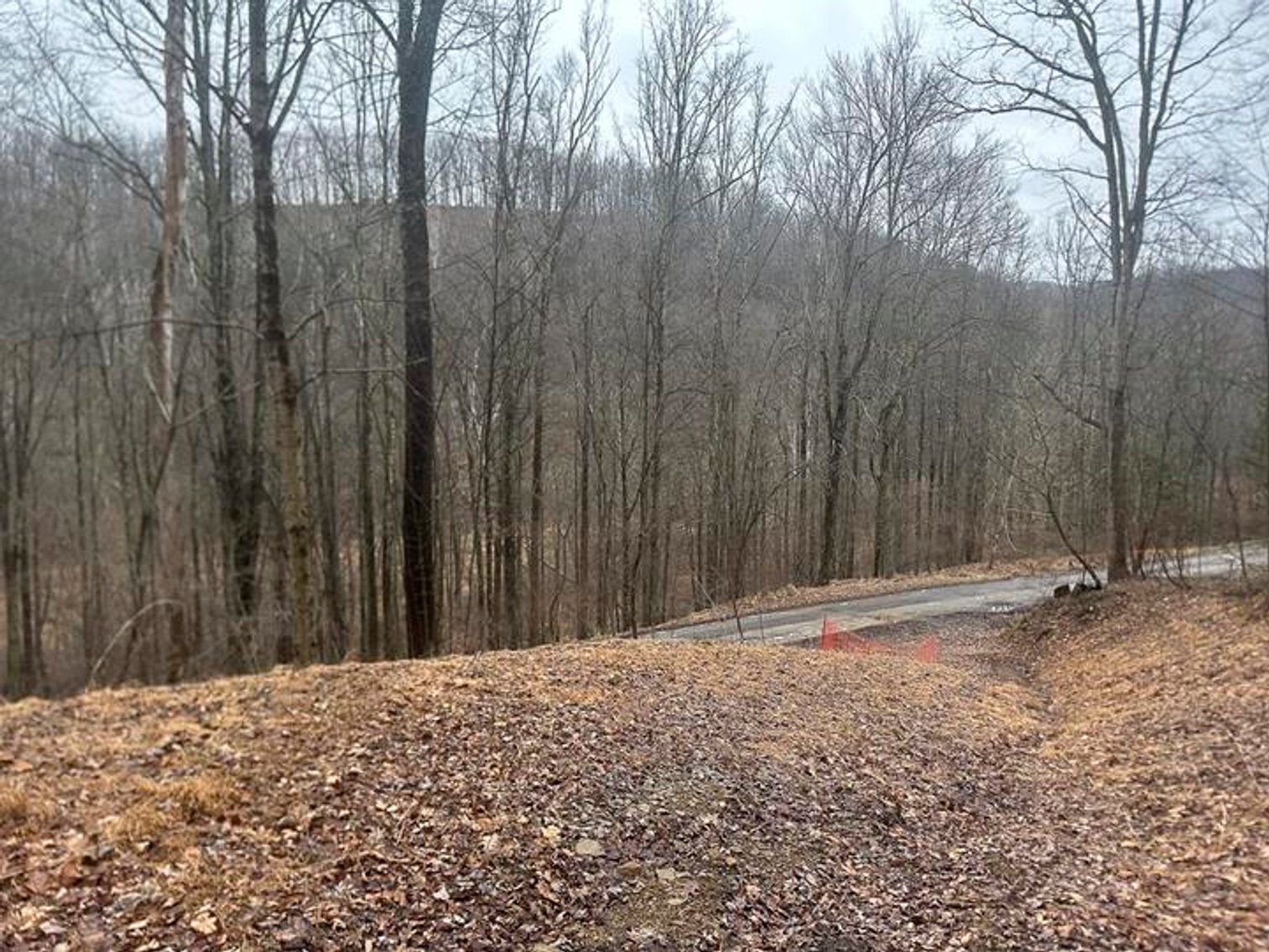 Image for 9 ½ Acres off Grafton Road in Morgantown