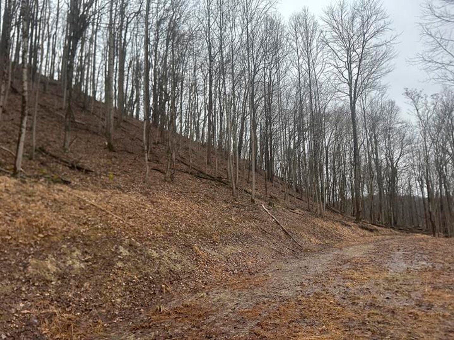 Image for 9 ½ Acres off Grafton Road in Morgantown