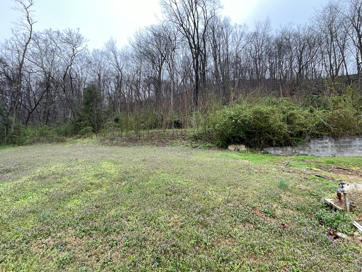 Image for SOLD $46,200 - 2 Bedroom on Nearly an Acre with River Views Along US-60 in Fayette County