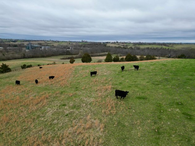 Image for 55 Acres of Gently Rolling Land in Richmond, KY