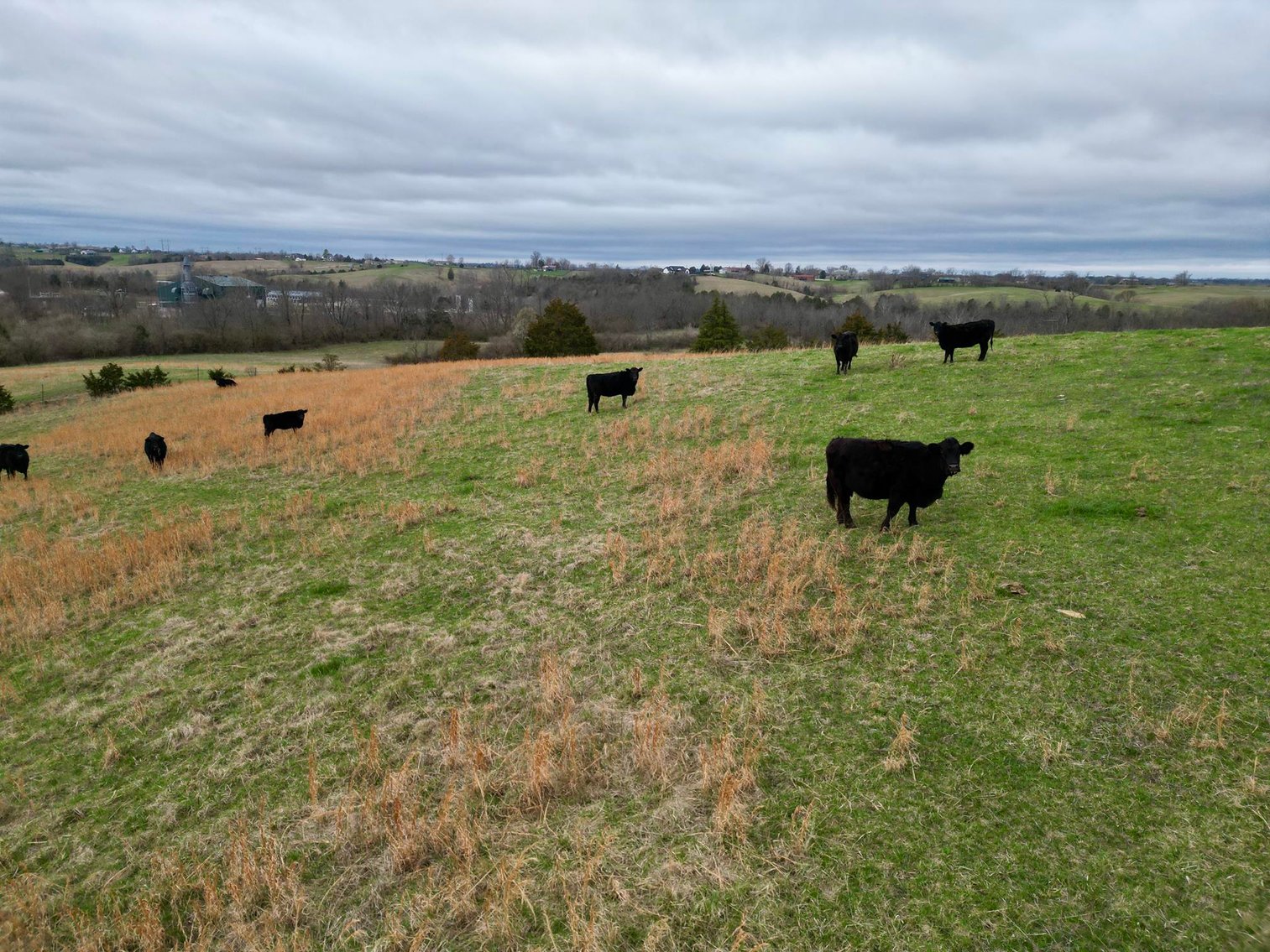 Image for 55 Acres of Gently Rolling Land in Richmond, KY