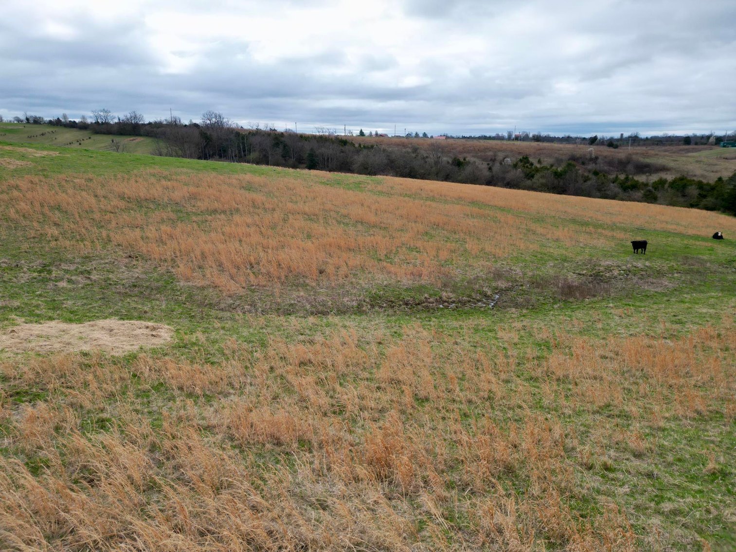 Image for 55 Acres of Gently Rolling Land in Richmond, KY