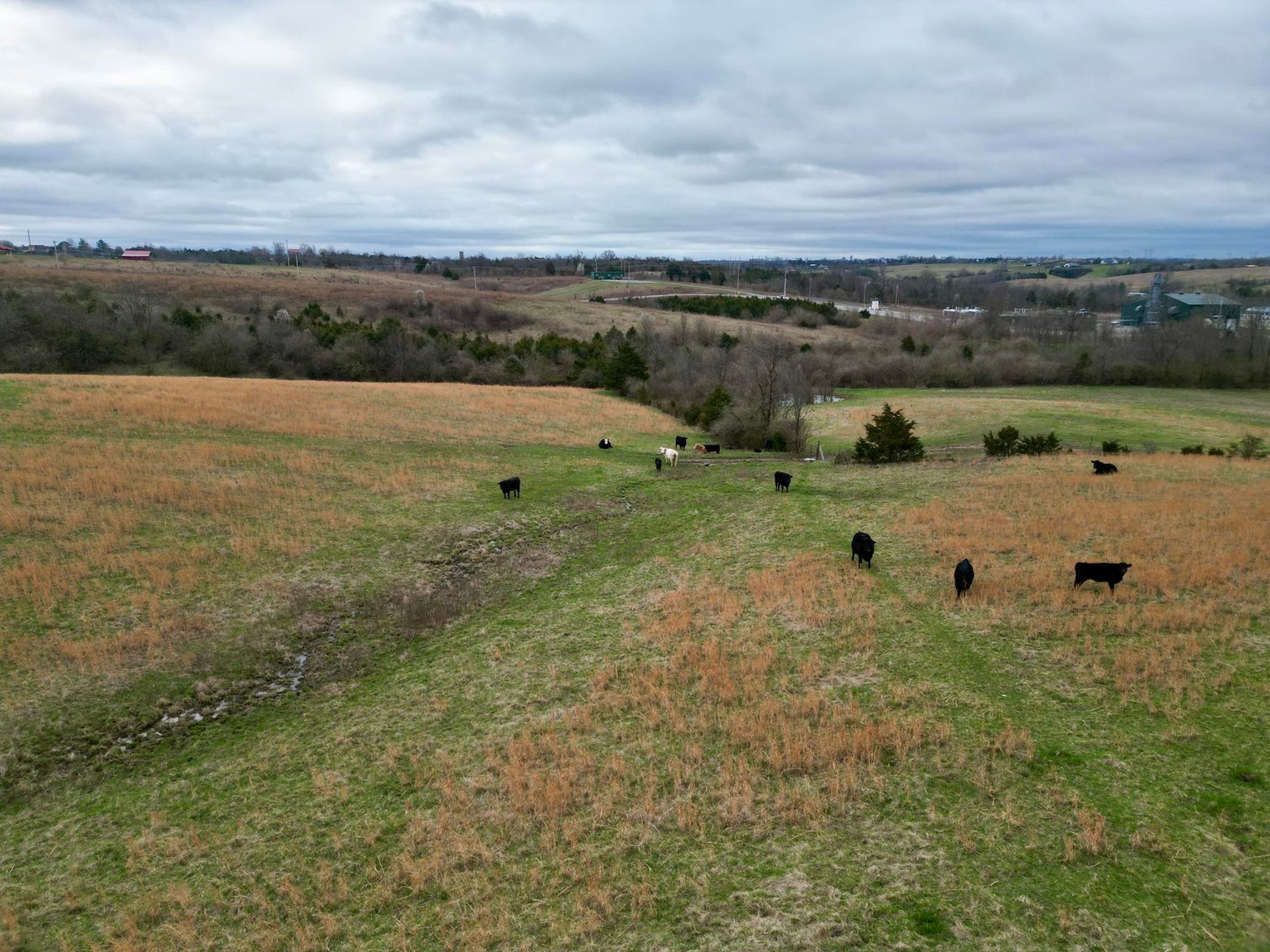 Image for 55 Acres of Gently Rolling Land in Richmond, KY