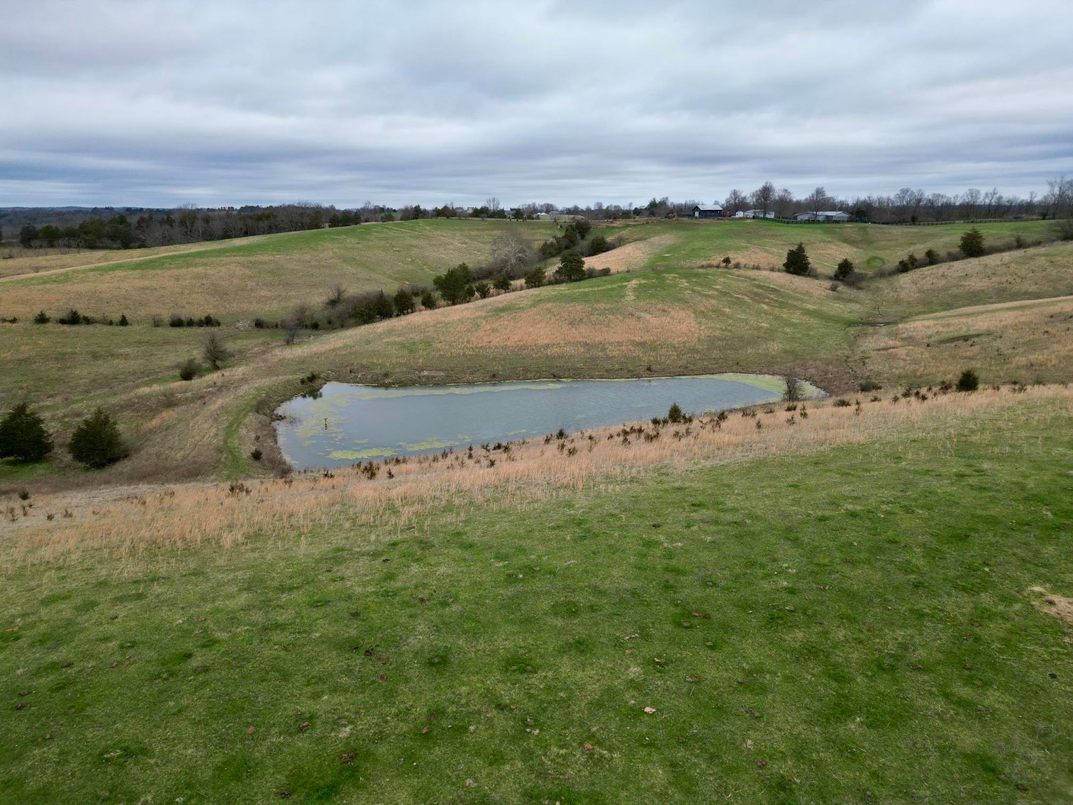 Image for 55 Acres of Gently Rolling Land in Richmond, KY