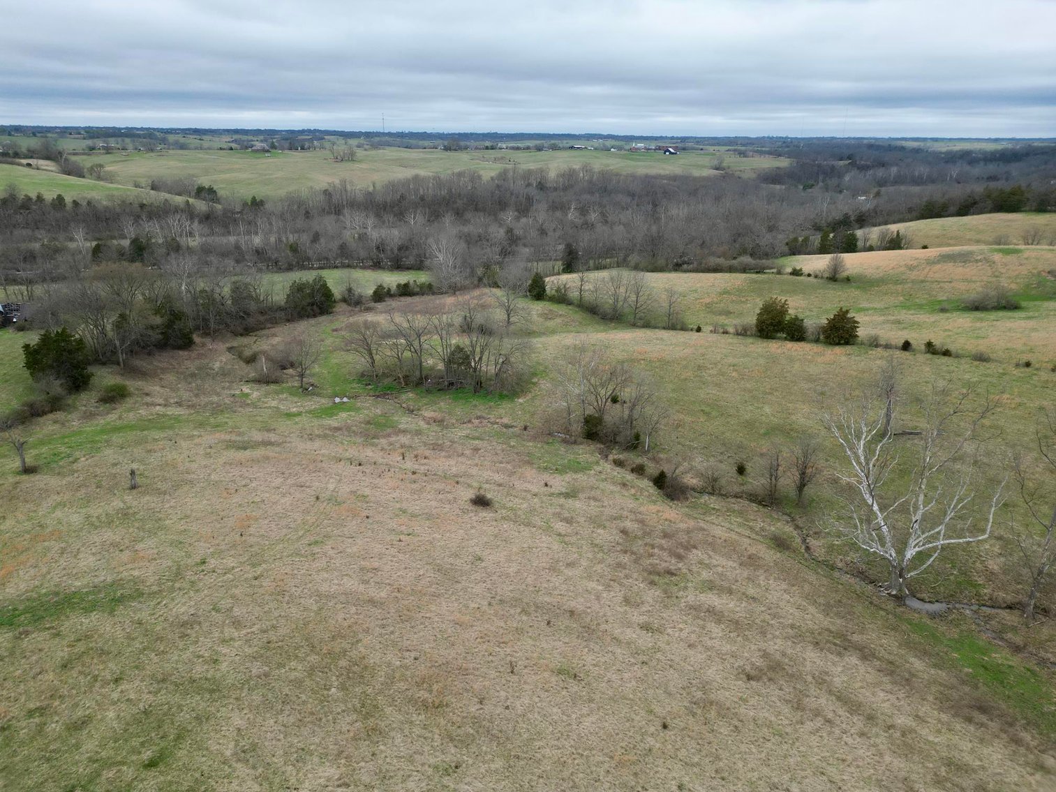 Image for 55 Acres of Gently Rolling Land in Richmond, KY