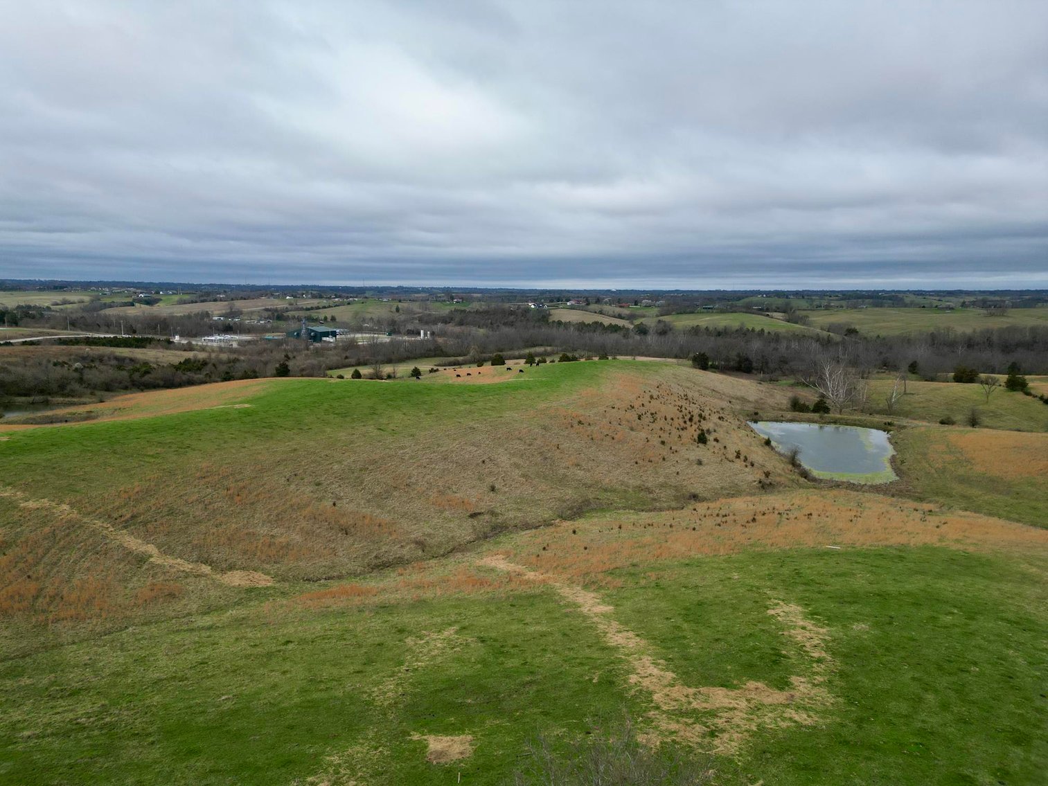 Image for 55 Acres of Gently Rolling Land in Richmond, KY