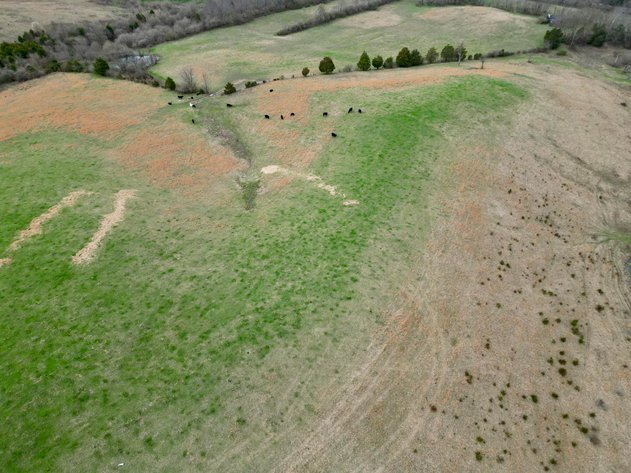 Image for 55 Acres of Gently Rolling Land in Richmond, KY