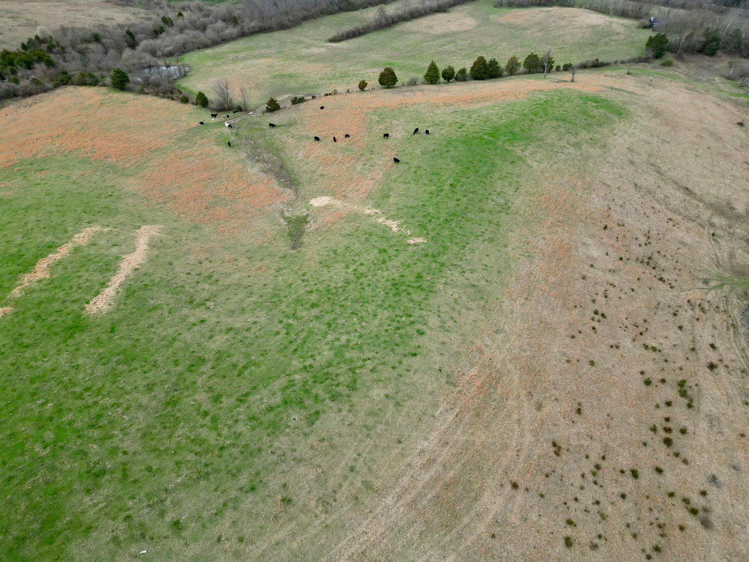 Image for 55 Acres of Gently Rolling Land in Richmond, KY