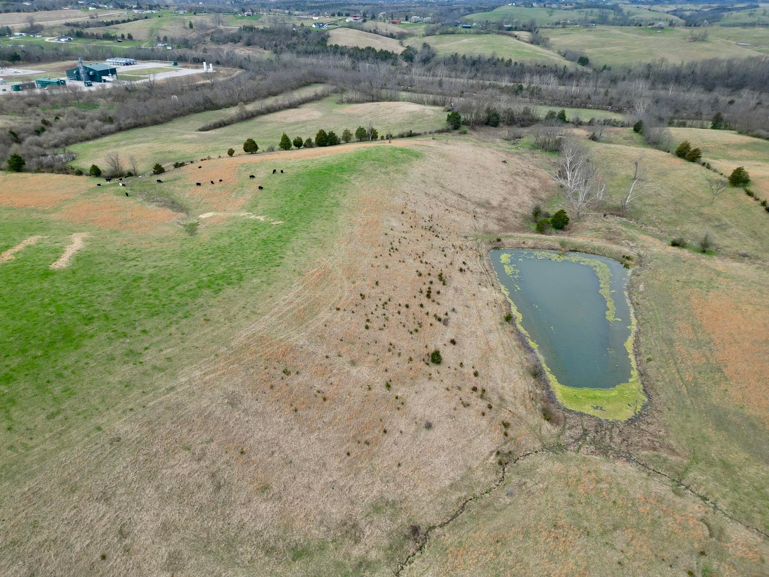 Image for 55 Acres of Gently Rolling Land in Richmond, KY