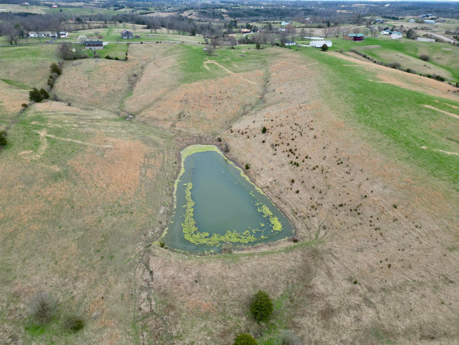 Image for 55 Acres of Gently Rolling Land in Richmond, KY