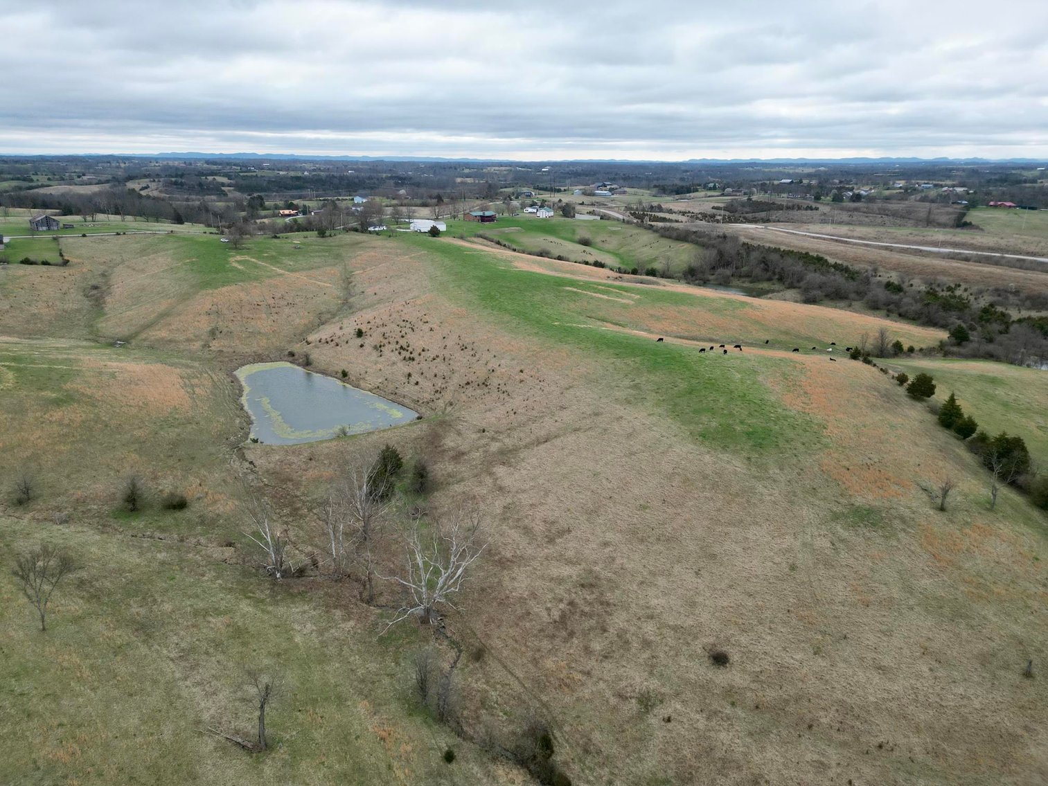 Image for 55 Acres of Gently Rolling Land in Richmond, KY