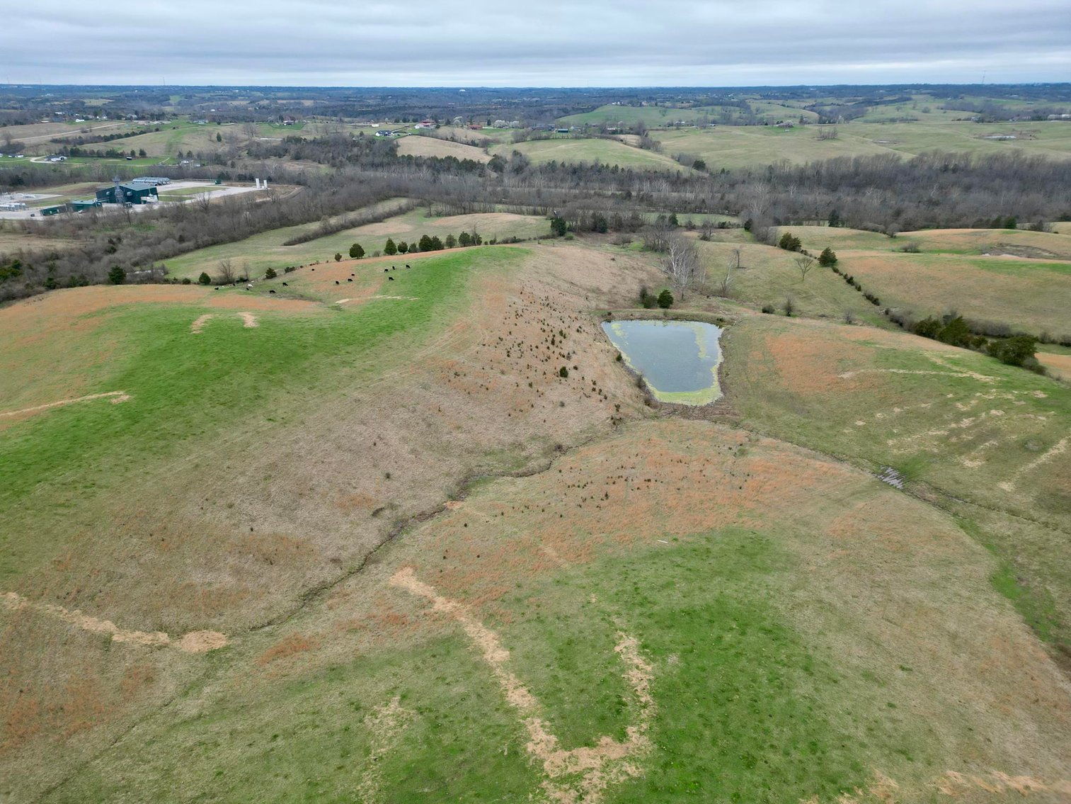 Image for 55 Acres of Gently Rolling Land in Richmond, KY