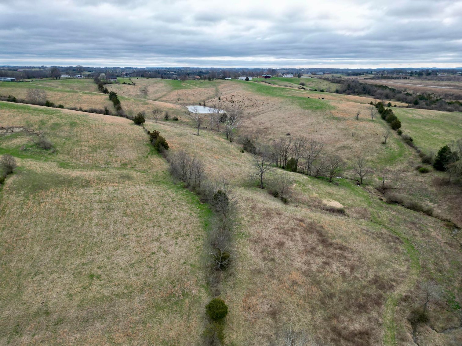 Image for 55 Acres of Gently Rolling Land in Richmond, KY