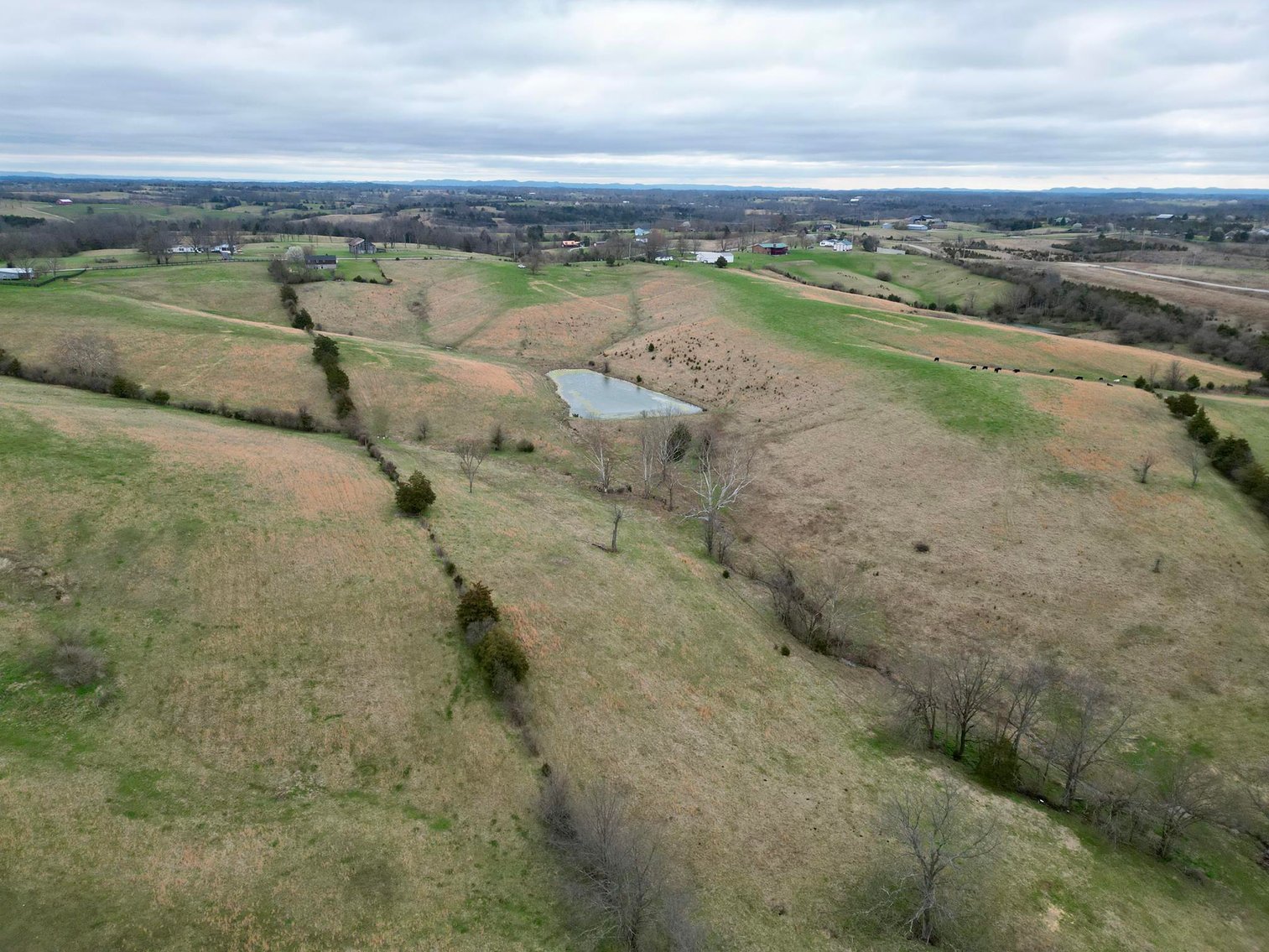 Image for 55 Acres of Gently Rolling Land in Richmond, KY