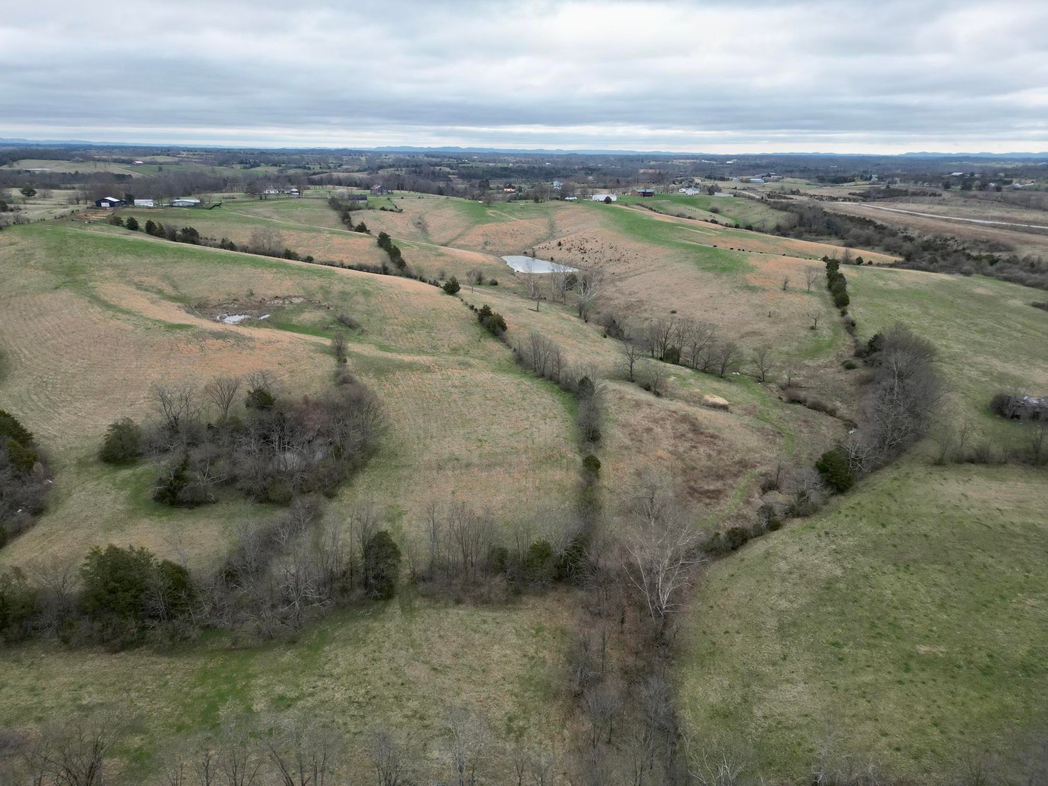 Image for 55 Acres of Gently Rolling Land in Richmond, KY