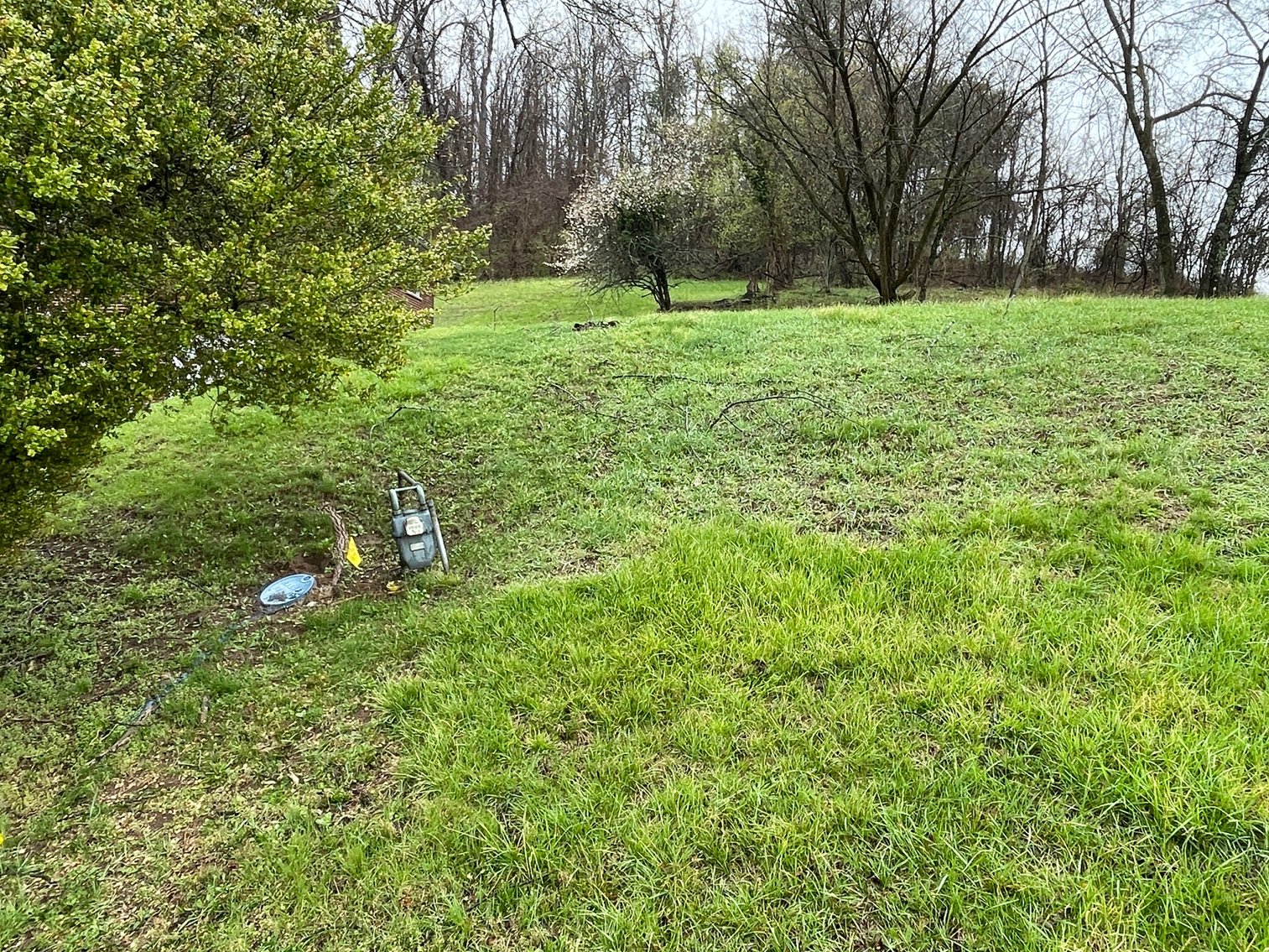 Image for SOLD $107,360 - Income Generating Brick 3 Bedroom on 1.8 Acres in the South Hills of Charleston