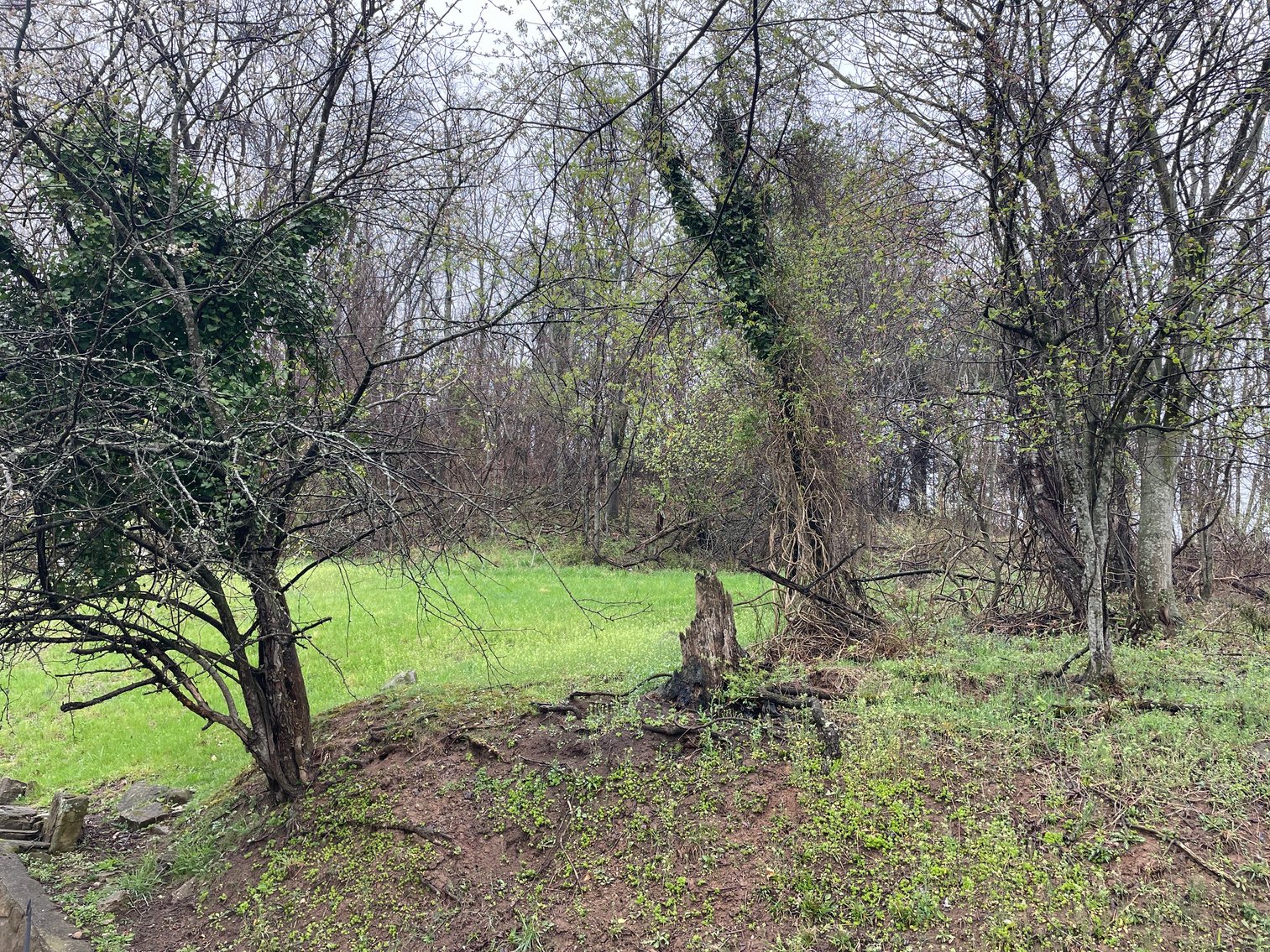 Image for SOLD $107,360 - Income Generating Brick 3 Bedroom on 1.8 Acres in the South Hills of Charleston