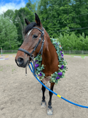 Image for On Eagles' Wings Benefit BBQ & Auction