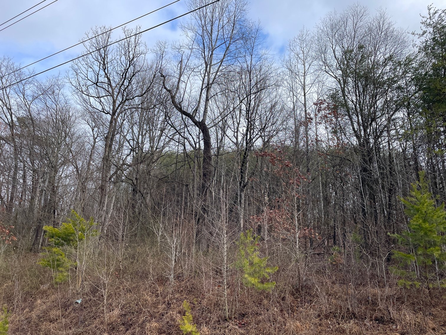 Image for SOLD $34,100 - 7 Prime Acres in Nitro’s Ridgefield Estates