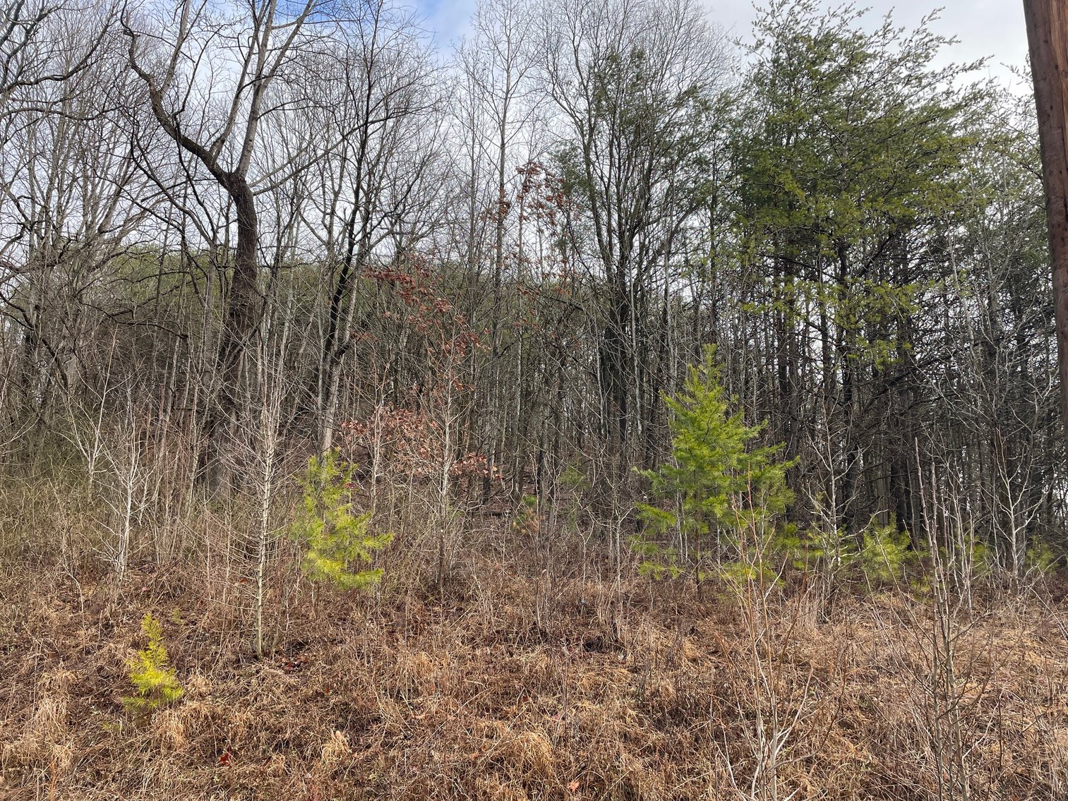 Image for SOLD $34,100 - 7 Prime Acres in Nitro’s Ridgefield Estates
