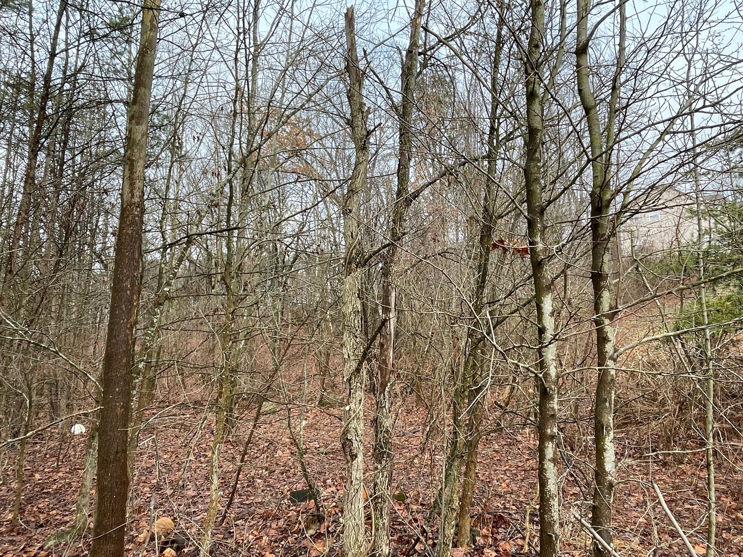 Image for SOLD $34,100 - 7 Prime Acres in Nitro’s Ridgefield Estates