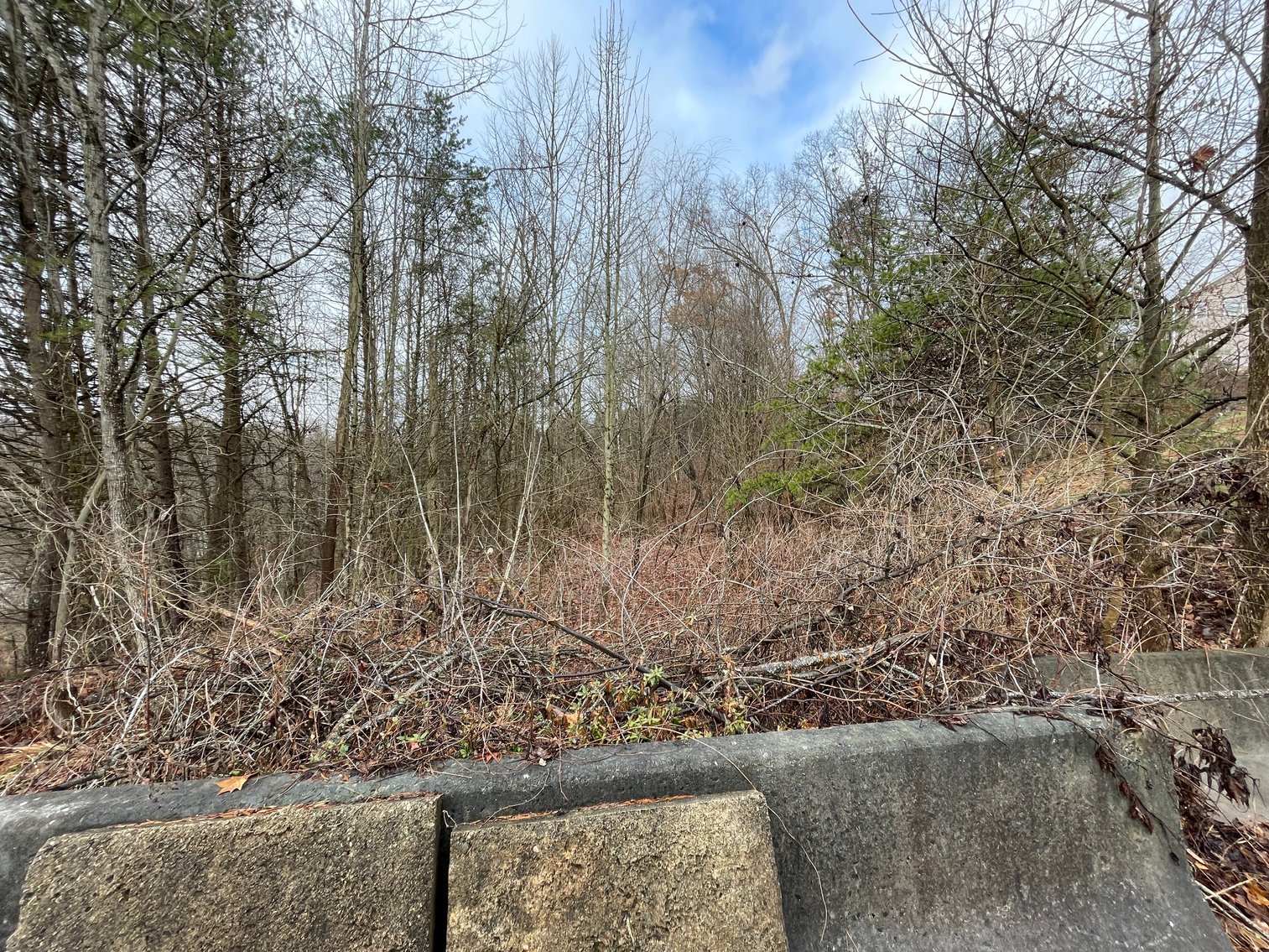 Image for SOLD $34,100 - 7 Prime Acres in Nitro’s Ridgefield Estates