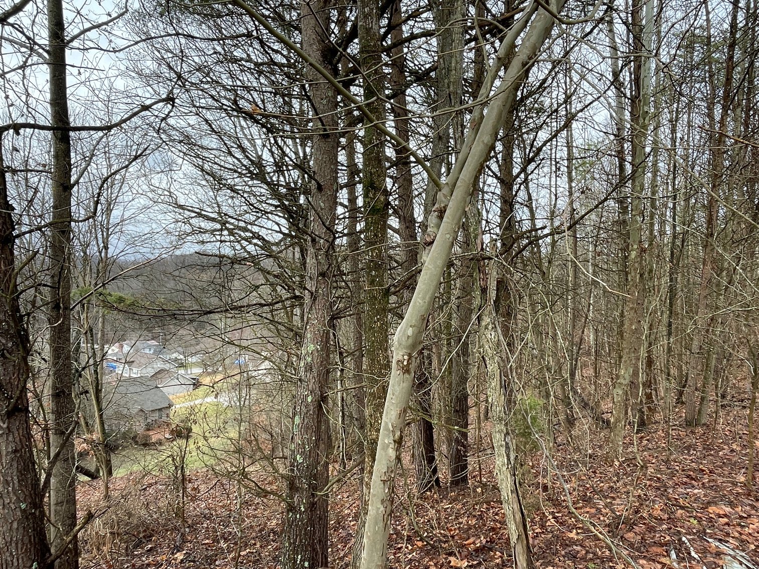 Image for SOLD $34,100 - 7 Prime Acres in Nitro’s Ridgefield Estates
