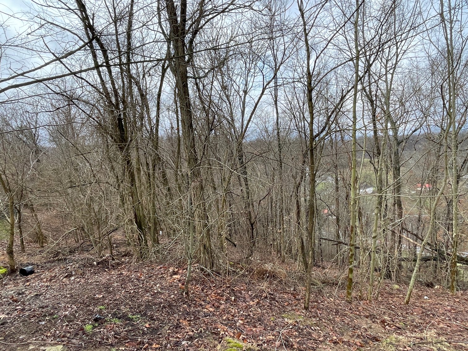 Image for SOLD $34,100 - 7 Prime Acres in Nitro’s Ridgefield Estates